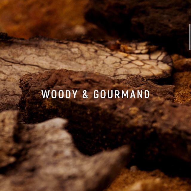Photo by LXS - Luxury Cosmetics on February 02, 2024. May be an image of lumberyard and text that says 'WOODY & GOURMAND'.